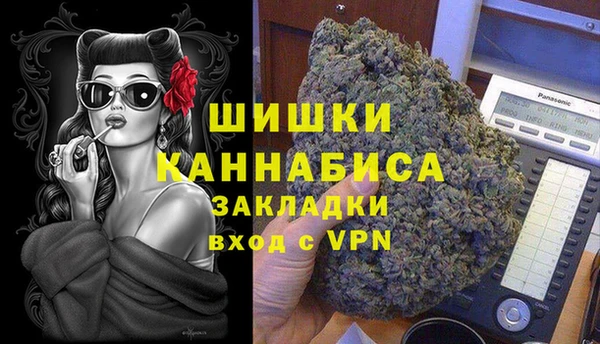 хмурый Белокуриха